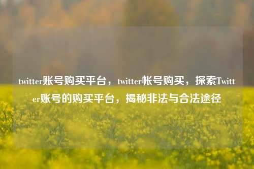 twitter账号购买平台，twitter帐号购买，探索Twitter账号的购买平台，揭秘非法与合法途径