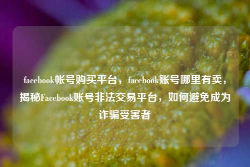 facebook帐号购买平台，facebook账号哪里有卖，揭秘Facebook账号非法交易平台，如何避免成为诈骗受害者