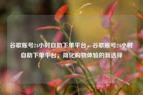 谷歌账号24小时自助下单平台，谷歌账号24小时自助下单平台，简化购物体验的新选择