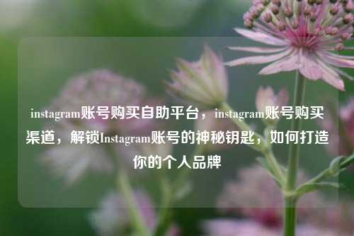 instagram账号购买自助平台，instagram账号购买渠道，解锁Instagram账号的神秘钥匙，如何打造你的个人品牌