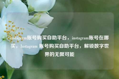 instagram账号购买自助平台，instagram账号在哪买，Instagram 账号购买自助平台，解锁数字世界的无限可能