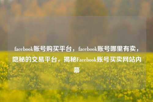 facebook帐号购买平台，facebook账号哪里有卖，隐秘的交易平台，揭秘Facebook账号买卖网站内幕