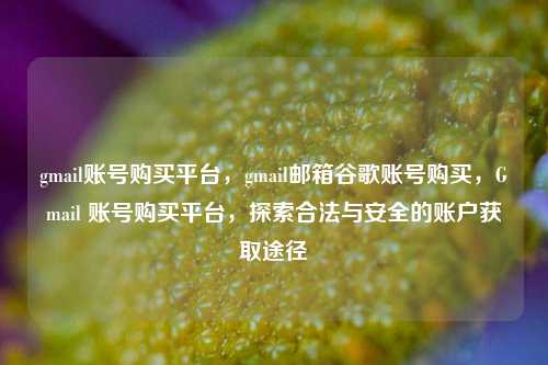 gmail账号购买平台，gmail邮箱谷歌账号购买，Gmail 账号购买平台，探索合法与安全的账户获取途径