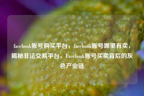 facebook帐号购买平台，facebook账号哪里有卖，揭秘非法交易平台，Facebook账号买卖背后的灰色产业链