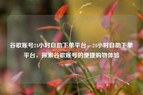 谷歌账号24小时自助下单平台，24小时自助下单平台，探索谷歌账号的便捷购物体验