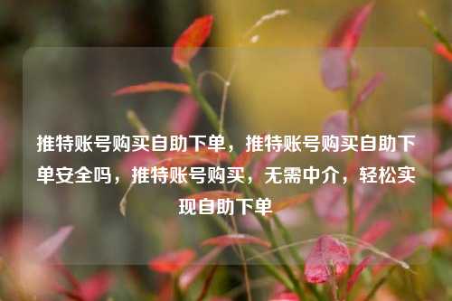 推特账号购买自助下单，推特账号购买自助下单安全吗，推特账号购买，无需中介，轻松实现自助下单