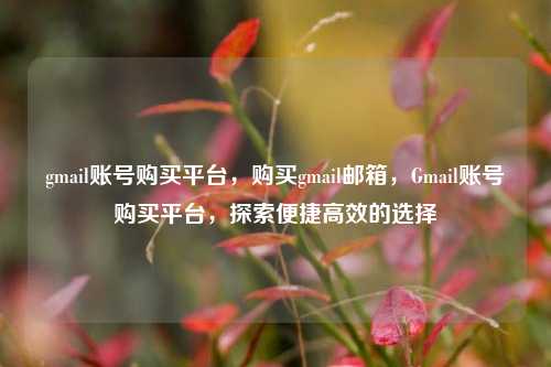 gmail账号购买平台，购买gmail邮箱，Gmail账号购买平台，探索便捷高效的选择