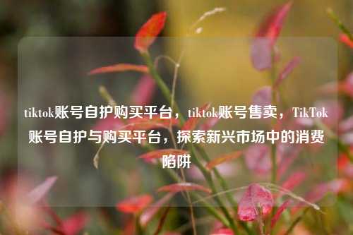 tiktok账号自护购买平台，tiktok账号售卖，TikTok账号自护与购买平台，探索新兴市场中的消费陷阱