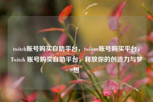 twitch账号购买自助平台	，twiiter账号购买平台，Twitch 账号购买自助平台，释放你的创造力与梦想  第1张