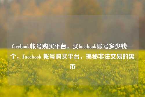facebook帐号购买平台，买facebook账号多少钱一个，Facebook 帐号购买平台，揭秘非法交易的黑市