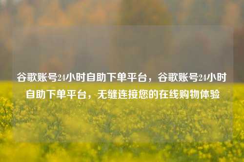 谷歌账号24小时自助下单平台，谷歌账号24小时自助下单平台，无缝连接您的在线购物体验