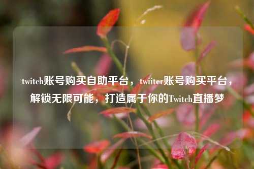twitch账号购买自助平台	，twiiter账号购买平台，解锁无限可能，打造属于你的Twitch直播梦  第1张