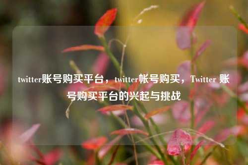twitter账号购买平台，twitter帐号购买，Twitter 账号购买平台的兴起与挑战