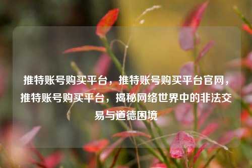 推特账号购买平台，推特账号购买平台官网，推特账号购买平台，揭秘网络世界中的非法交易与道德困境