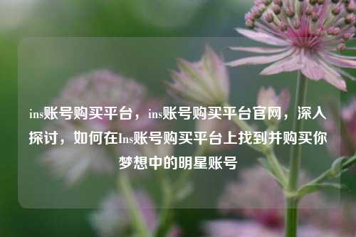 ins账号购买平台，ins账号购买平台官网，深入探讨，如何在Ins账号购买平台上找到并购买你梦想中的明星账号