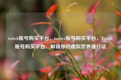 twitch账号购买平台，twiiter账号购买平台，Twitch账号购买平台，解锁你的虚拟世界通行证