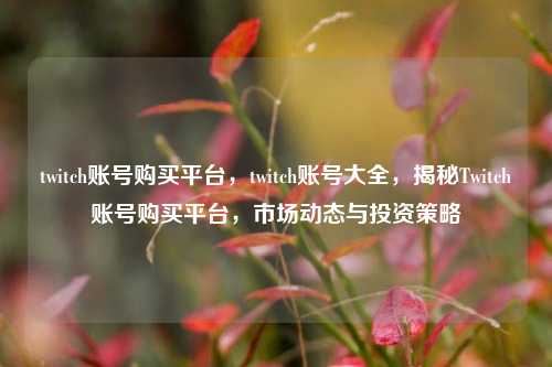 twitch账号购买平台，twitch账号大全，揭秘Twitch账号购买平台，市场动态与投资策略
