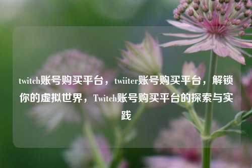 twitch账号购买平台，twiiter账号购买平台，解锁你的虚拟世界，Twitch账号购买平台的探索与实践