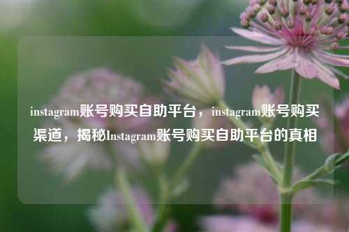 instagram账号购买自助平台，instagram账号购买渠道，揭秘Instagram账号购买自助平台的真相