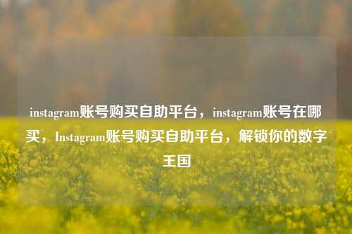instagram账号购买自助平台，instagram账号在哪买，Instagram账号购买自助平台，解锁你的数字王国