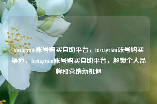 instagram账号购买自助平台，instagram账号购买渠道，Instagram账号购买自助平台，解锁个人品牌和营销新机遇