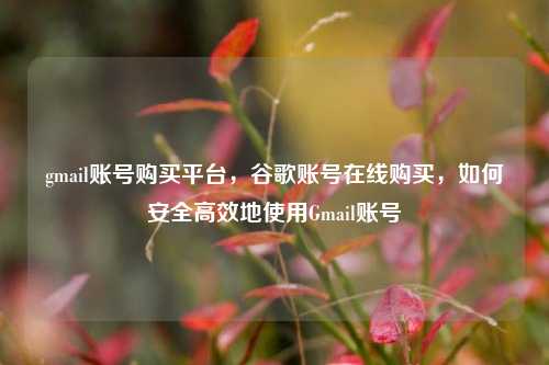 gmail账号购买平台，谷歌账号在线购买，如何安全高效地使用Gmail账号