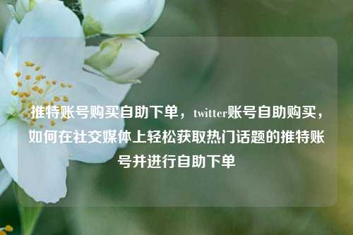 推特账号购买自助下单，twitter账号自助购买，如何在社交媒体上轻松获取热门话题的推特账号并进行自助下单