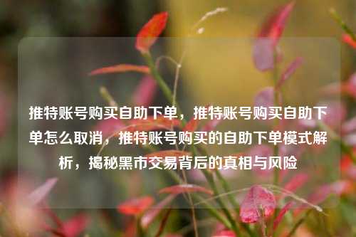 推特账号购买自助下单，推特账号购买自助下单怎么取消，推特账号购买的自助下单模式解析，揭秘黑市交易背后的真相与风险