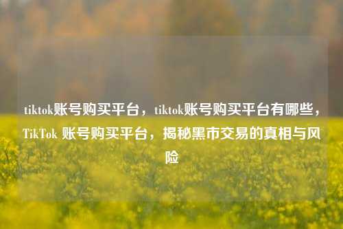 tiktok账号购买平台，tiktok账号购买平台有哪些，TikTok 账号购买平台，揭秘黑市交易的真相与风险
