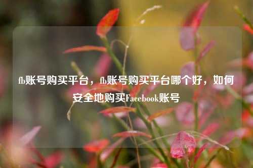 fb账号购买平台，fb账号购买平台哪个好，如何安全地购买Facebook账号