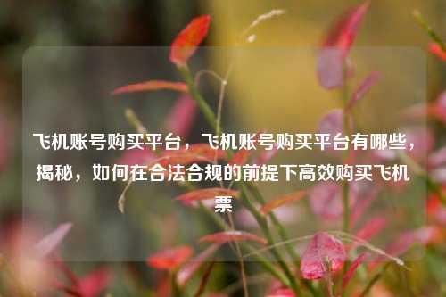 飞机账号购买平台，飞机账号购买平台有哪些，揭秘，如何在合法合规的前提下高效购买飞机票