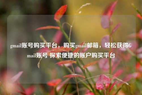 gmail账号购买平台，购买gmail邮箱，轻松获得Gmail账号 探索便捷的账户购买平台