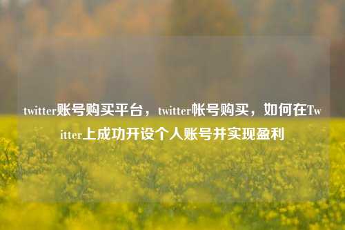 twitter账号购买平台，twitter帐号购买，如何在Twitter上成功开设个人账号并实现盈利  第1张