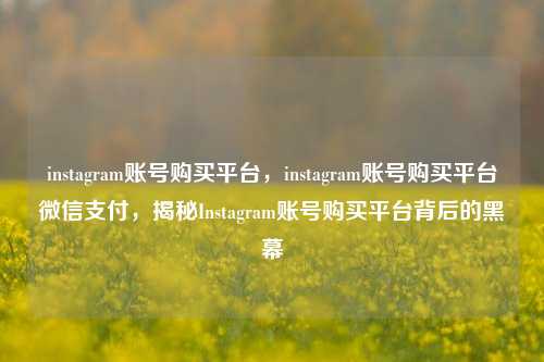 instagram账号购买平台，instagram账号购买平台微信支付，揭秘Instagram账号购买平台背后的黑幕