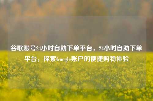 谷歌账号24小时自助下单平台，24小时自助下单平台，探索Google账户的便捷购物体验