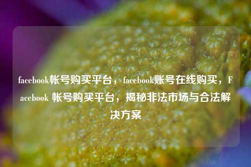 facebook帐号购买平台，facebook账号在线购买，Facebook 帐号购买平台，揭秘非法市场与合法解决方案