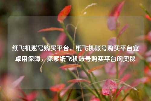 纸飞机账号购买平台，纸飞机账号购买平台安卓用保障，探索纸飞机账号购买平台的奥秘
