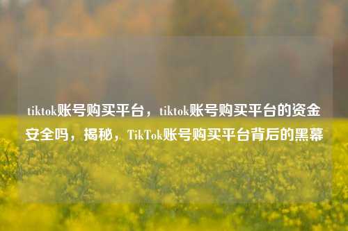 tiktok账号购买平台，tiktok账号购买平台的资金安全吗，揭秘，TikTok账号购买平台背后的黑幕