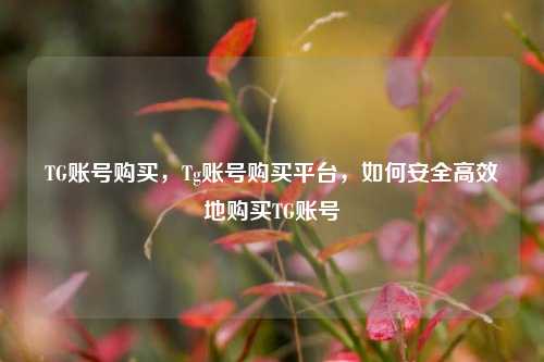 TG账号购买，Tg账号购买平台，如何安全高效地购买TG账号