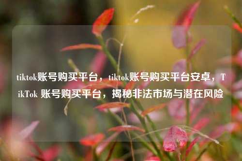 tiktok账号购买平台，tiktok账号购买平台安卓，TikTok 账号购买平台，揭秘非法市场与潜在风险