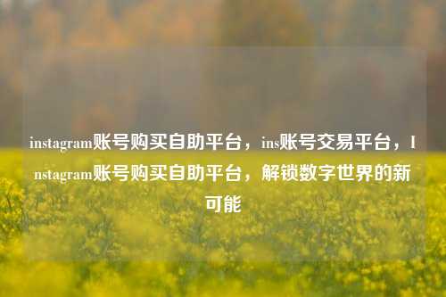 instagram账号购买自助平台，ins账号交易平台，Instagram账号购买自助平台，解锁数字世界的新可能