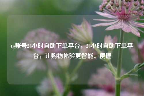 tg账号24小时自助下单平台，24小时自助下单平台，让购物体验更智能、便捷