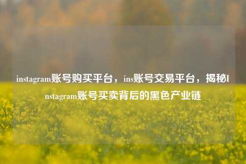 instagram账号购买平台，ins账号交易平台，揭秘Instagram账号买卖背后的黑色产业链