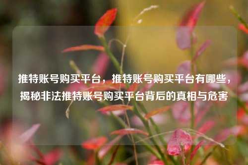 推特账号购买平台	，推特账号购买平台有哪些，揭秘非法推特账号购买平台背后的真相与危害  第1张
