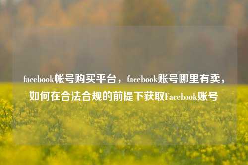 facebook帐号购买平台，facebook账号哪里有卖，如何在合法合规的前提下获取Facebook账号