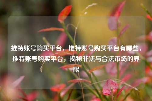 推特账号购买平台，推特账号购买平台有哪些，推特账号购买平台，揭秘非法与合法市场的界限
