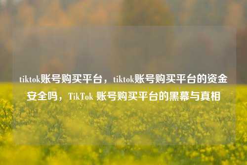 tiktok账号购买平台，tiktok账号购买平台的资金安全吗，TikTok 账号购买平台的黑幕与真相
