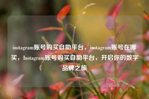 instagram账号购买自助平台，instagram账号在哪买，Instagram账号购买自助平台，开启你的数字品牌之旅