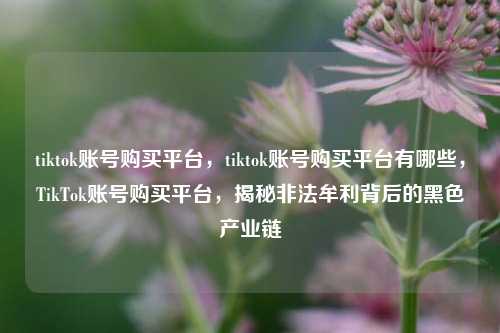 tiktok账号购买平台，tiktok账号购买平台有哪些，TikTok账号购买平台，揭秘非法牟利背后的黑色产业链