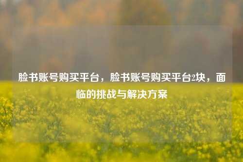 脸书账号购买平台，脸书账号购买平台2块，面临的挑战与解决方案